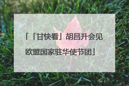 「甘快看」胡昌升会见欧盟国家驻华使节团