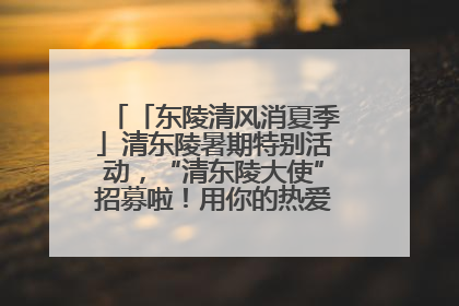 「东陵清风消夏季」清东陵暑期特别活动，“清东陵大使”招募啦！用你的热爱守护世界遗产！