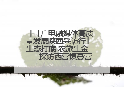 「广电融媒体高质量发展陕西采访行」生态打底 农旅生金——探访西营镇蔓营村省级旅游示范村的振兴密码