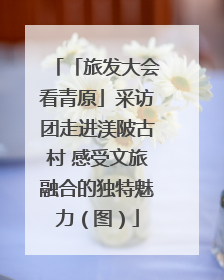 「旅发大会看青原」采访团走进渼陂古村 感受文旅融合的独特魅力（图）