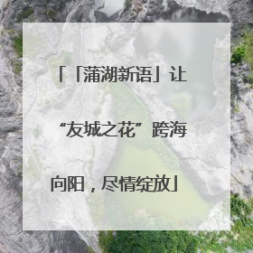 「蒲湖新语」让“友城之花”跨海向阳，尽情绽放