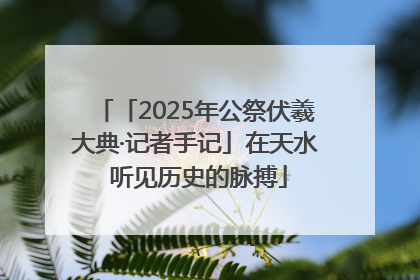「2025年公祭伏羲大典·记者手记」在天水 听见历史的脉搏