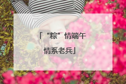 “粽”情端午 情系老兵