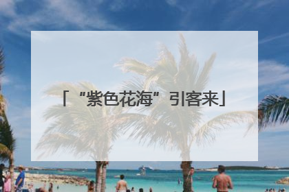 “紫色花海”引客来