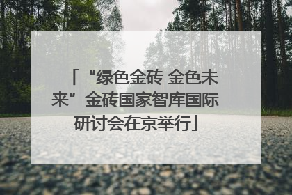 “绿色金砖 金色未来”金砖国家智库国际研讨会在京举行