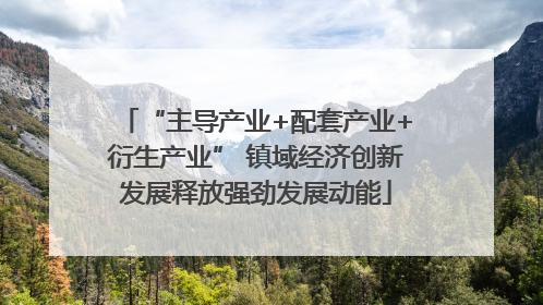 “主导产业+配套产业+衍生产业” 镇域经济创新发展释放强劲发展动能