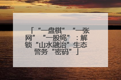 “一盘棋”“一张网”“一股绳”：解锁“山水融治”生态警务“密码”