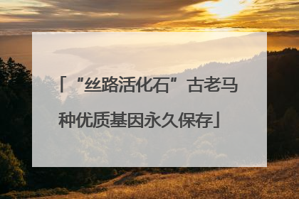 “丝路活化石”古老马种优质基因永久保存