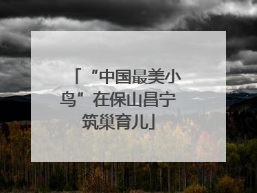 “中国最美小鸟”在保山昌宁筑巢育儿