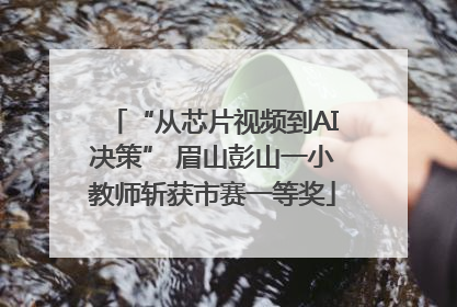 “从芯片视频到AI决策” 眉山彭山一小教师斩获市赛一等奖