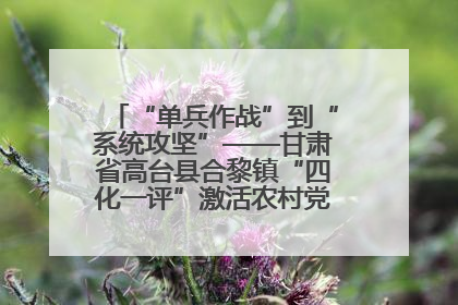 “单兵作战”到“系统攻坚”——甘肃省高台县合黎镇“四化一评”激活农村党员管理新引擎