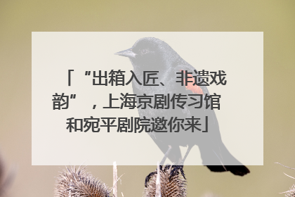 “出箱入匠、非遗戏韵”，上海京剧传习馆和宛平剧院邀你来
