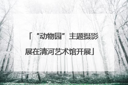 “动物园”主题摄影展在清河艺术馆开展