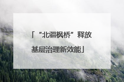 “北疆枫桥”释放基层治理新效能