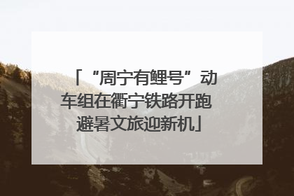 “周宁有鲤号”动车组在衢宁铁路开跑 避暑文旅迎新机