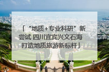 “地质+专业科研”新尝试 四川宜宾兴文石海打造地质旅游新标杆