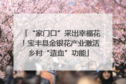 “家门口”采出幸福花！宝丰县金银花产业激活乡村“造血”功能