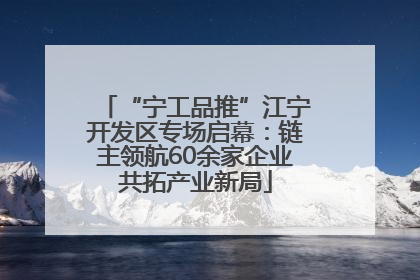 “宁工品推”江宁开发区专场启幕：链主领航60余家企业共拓产业新局