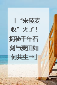 “宋陵麦收”火了！揭秘千年石刻与麦田如何共生→