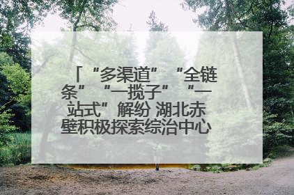 “多渠道”“全链条”“一揽子”“一站式”解纷 湖北赤壁积极探索综治中心规范化建设新路子