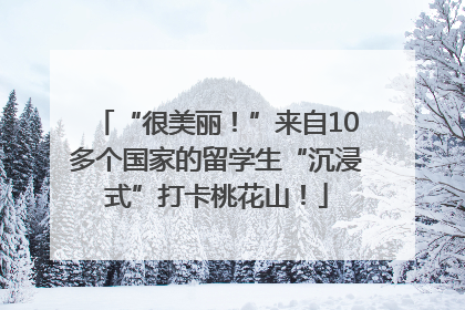 “很美丽！”来自10多个国家的留学生“沉浸式”打卡桃花山！