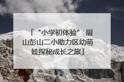 “小学初体验” 眉山彭山二小助力区幼萌娃探秘成长之旅