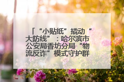 “小贴纸”撬动“大防线”：哈尔滨市公安局香坊分局“物流反诈”模式守护群众“钱袋子”