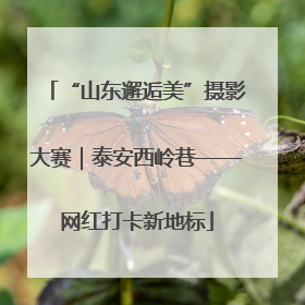 “山东邂逅美”摄影大赛｜泰安西岭巷——网红打卡新地标