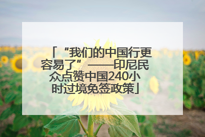 “我们的中国行更容易了”——印尼民众点赞中国240小时过境免签政策