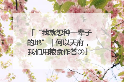 “我就想种一辈子的地”｜何以天府，我们用粮食作答②