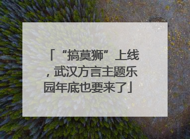 “搞莫狮”上线，武汉方言主题乐园年底也要来了