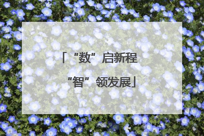 “数”启新程 “智”领发展