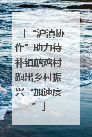 “沪滇协作”助力待补镇鹧鸡村跑出乡村振兴“加速度”
