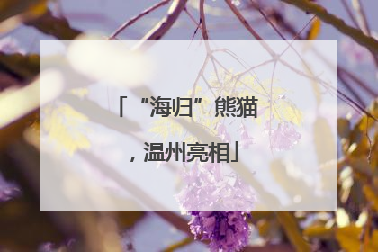 “海归”熊猫，温州亮相