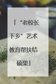 “老校长下乡”艺术教育帮扶结硕果