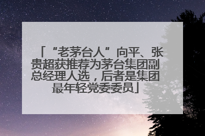 “老茅台人”向平、张贵超获推荐为茅台集团副总经理人选，后者是集团最年轻党委委员