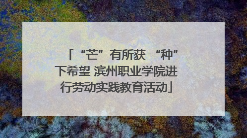 “芒”有所获 “种”下希望 滨州职业学院进行劳动实践教育活动