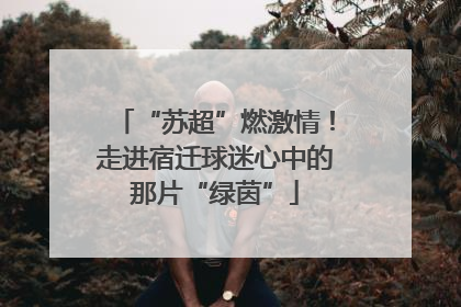 “苏超”燃激情！走进宿迁球迷心中的那片“绿茵”