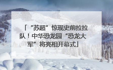 “苏超”惊现史前拉拉队！中华恐龙园“恐龙大军”将亮相开幕式
