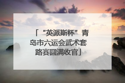 “英派斯杯”青岛市六运会武术套路赛圆满收官
