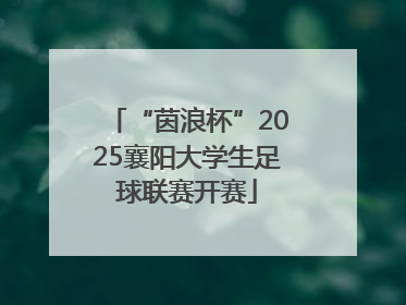 “茵浪杯”2025襄阳大学生足球联赛开赛