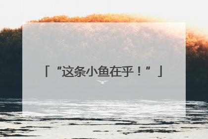 “这条小鱼在乎！”