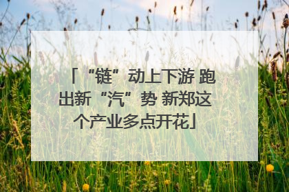 “链”动上下游 跑出新“汽”势 新郑这个产业多点开花
