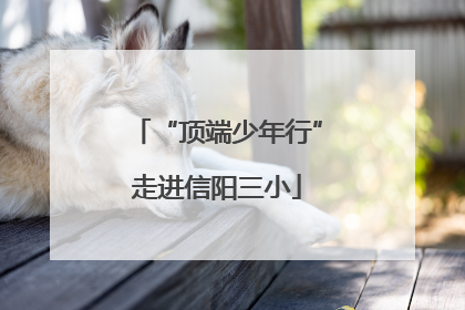 “顶端少年行”走进信阳三小