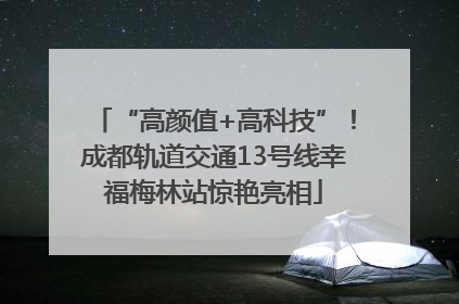 “高颜值+高科技”！成都轨道交通13号线幸福梅林站惊艳亮相