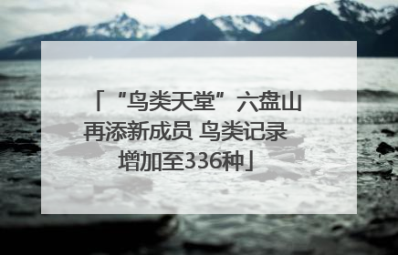 “鸟类天堂”六盘山再添新成员 鸟类记录增加至336种
