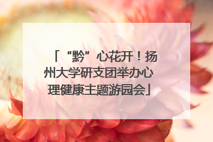 “黔”心花开！扬州大学研支团举办心理健康主题游园会