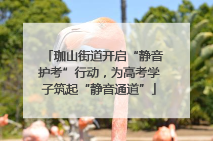 珈山街道开启“静音护考”行动，为高考学子筑起“静音通道”