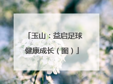玉山：益启足球 健康成长（图）