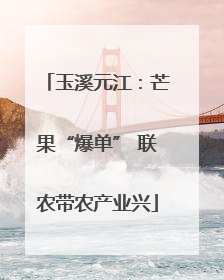 玉溪元江：芒果“爆单” 联农带农产业兴